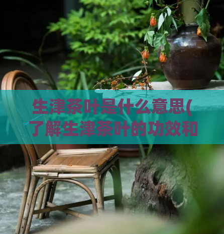 生津茶叶是什么意思(了解生津茶叶的功效和起源)