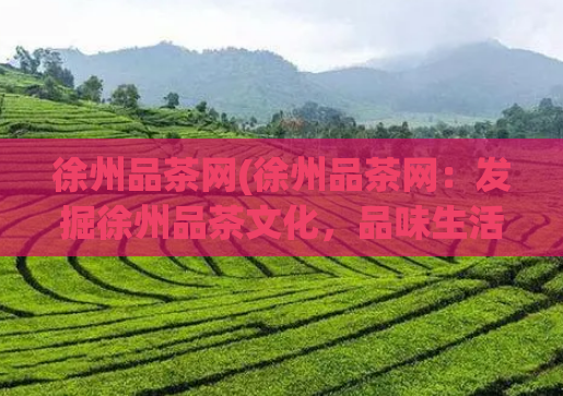 徐州品茶网(徐州品茶网：发掘徐州品茶文化，品味生活香韵)