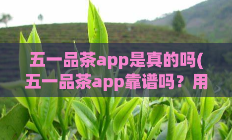 五一品茶app是真的吗(五一品茶app靠谱吗?用户使用之后的真实体验来告诉你!)