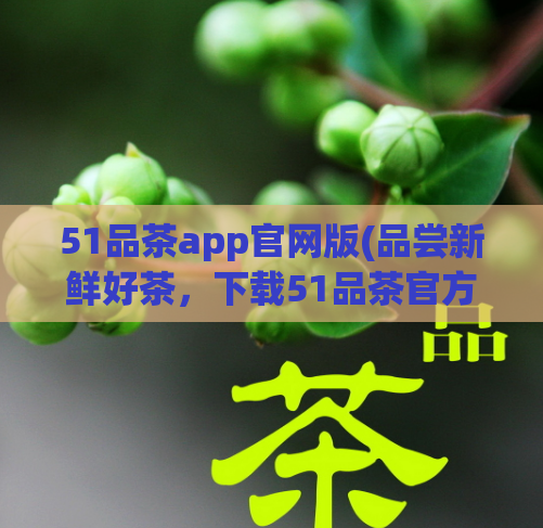 51品茶app官网版(品尝新鲜好茶，下载51品茶官方网站享受优惠)