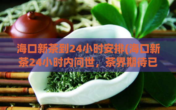 海口新茶到24小时安排(海口新茶24小时内问世，茶界期待已久！)