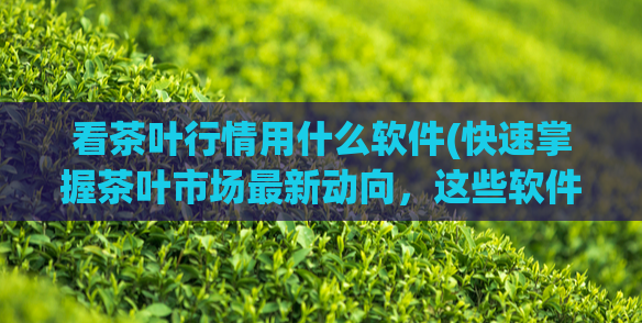 看茶叶行情用什么软件(快速掌握茶叶市场最新动向,这些软件为您提供支持)