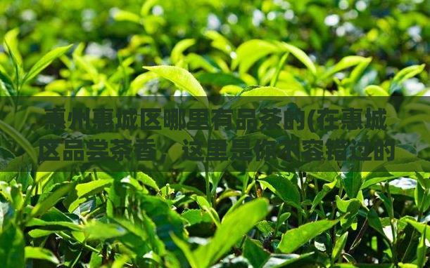 惠州惠城区哪里有品茶的(在惠城区品尝茶香，这里是你不容错过的好去处)