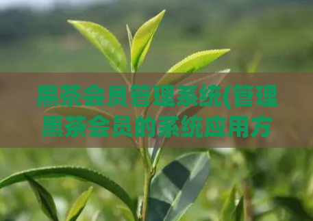 黑茶会员管理系统(管理黑茶会员的系统应用方式简单、高效、易操作！)