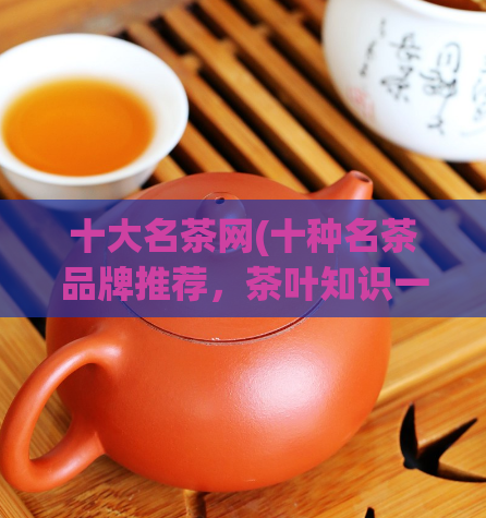 十大名茶网(十种名茶品牌推荐，茶叶知识一网打尽)