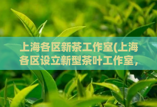 上海各区新茶工作室(上海各区设立新型茶叶工作室，传承中华茶文化)