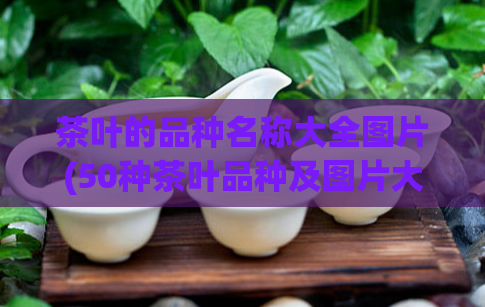 茶叶的品种名称大全图片(50种茶叶品种及图片大全)