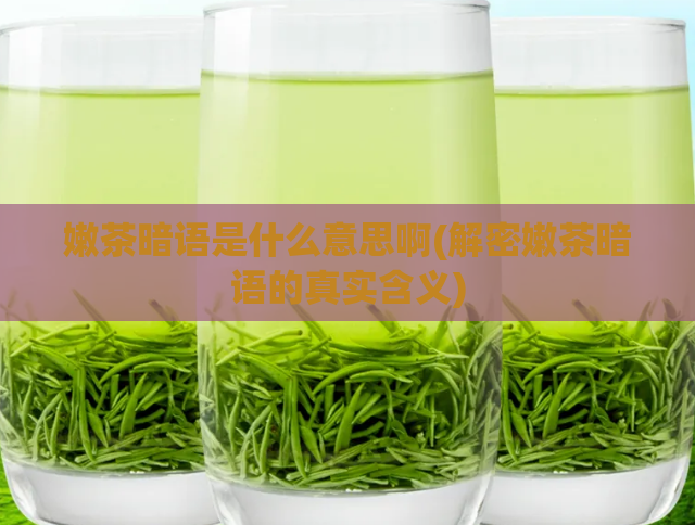嫩茶暗语是什么意思啊(解密嫩茶暗语的真实含义)