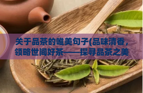 关于品茶的唯美句子(品味清香，领略世间好茶——探寻品茶之美)