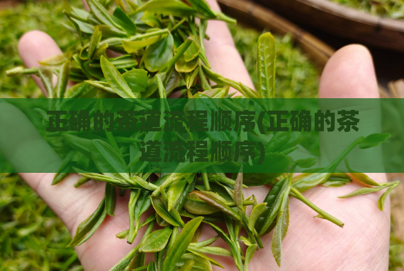 正确的茶道流程顺序(正确的茶道流程顺序)