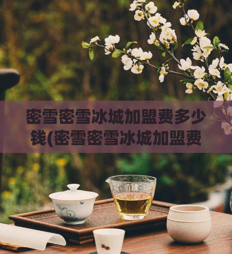 密雪密雪冰城加盟费多少钱(密雪密雪冰城加盟费用是多少？)