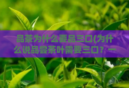 品茶为什么要品三口(为什么说品尝茶叶需要三口?一看就懂茶道礼仪)