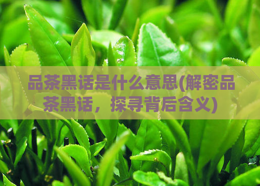 品茶黑话是什么意思(解密品茶黑话，探寻背后含义)