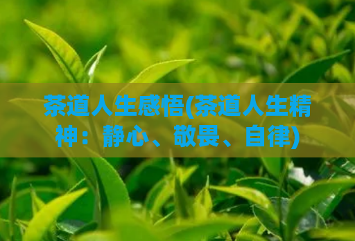 茶道人生感悟(茶道人生精神:静心、敬畏、自律)