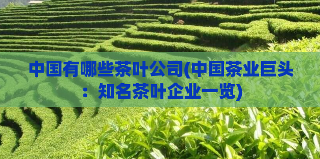 中国有哪些茶叶公司(中国茶业巨头：知名茶叶企业一览)