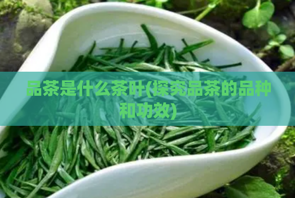 品茶是什么茶叶(探究品茶的品种和功效)