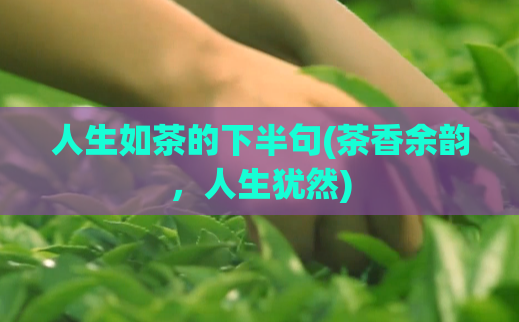 人生如茶的下半句(茶香余韵,人生犹然)