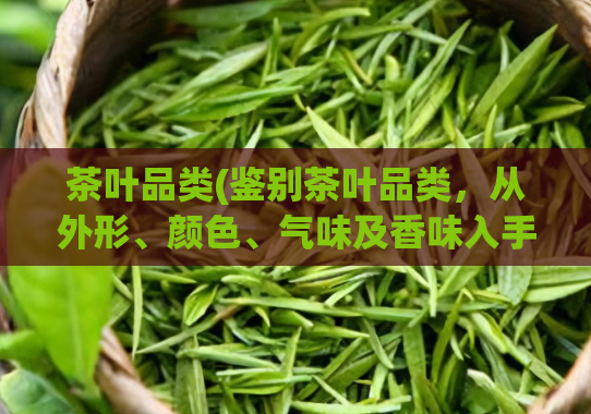 茶叶品类(鉴别茶叶品类，从外形、颜色、气味及香味入手)