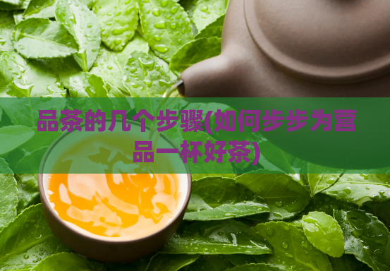 品茶的几个步骤(如何步步为营品一杯好茶)