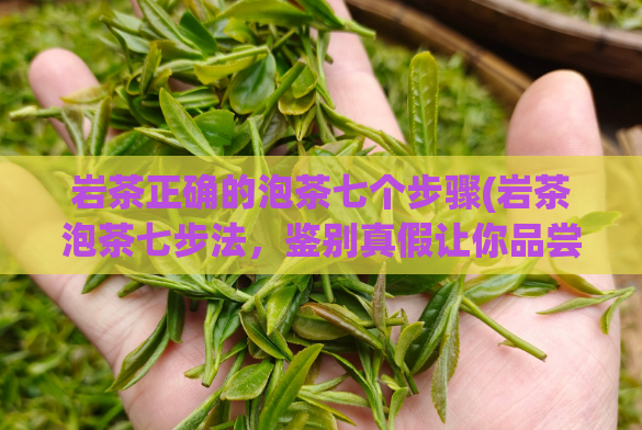 岩茶正确的泡茶七个步骤(岩茶泡茶七步法，鉴别真假让你品尝到正宗滋味)