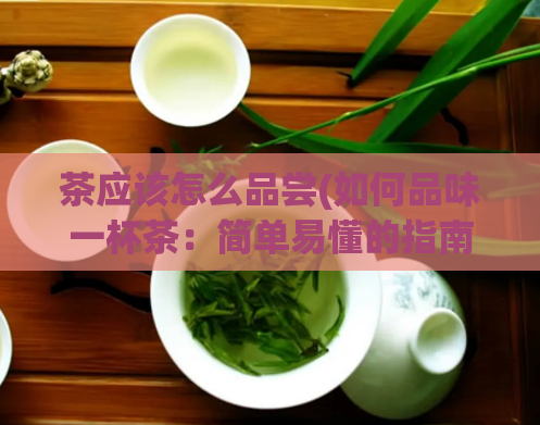 茶应该怎么品尝(如何品味一杯茶:简单易懂的指南)