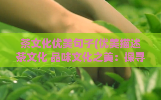 茶文化优美句子(优美描述茶文化 品味文化之美:探寻茶艺乐趣)