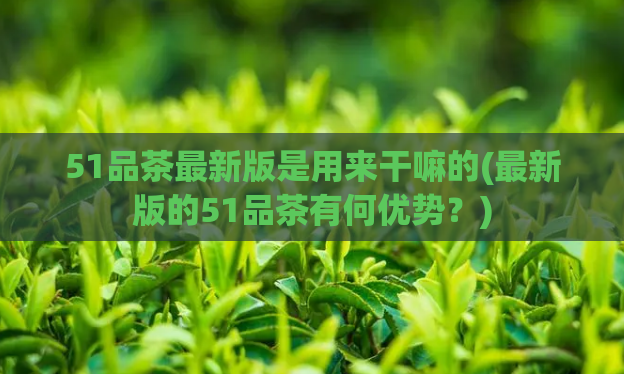 51品茶最新版是用来干嘛的(最新版的51品茶有何优势？)