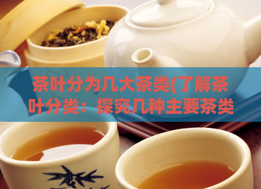 茶叶分为几大茶类(了解茶叶分类：探究几种主要茶类)