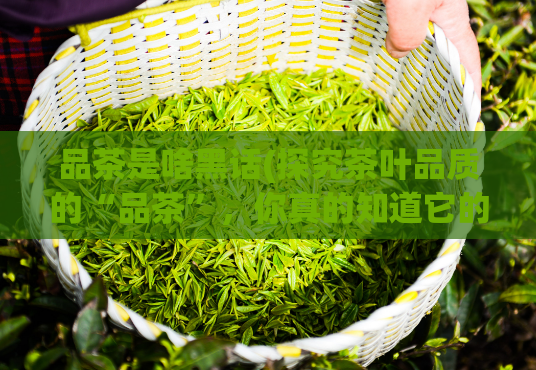 品茶是啥黑话(探究茶叶品质的“品茶”，你真的知道它的含义吗？)