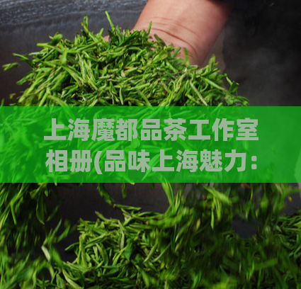 上海魔都品茶工作室相册(品味上海魅力:魔都品茶工作室实拍相册)