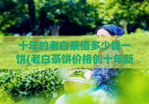 十年的老白茶值多少钱一饼(老白茶饼价格创十年新高)