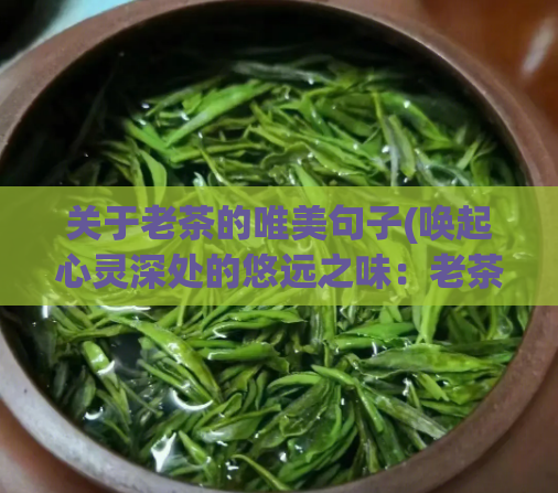 关于老茶的唯美句子(唤起心灵深处的悠远之味：老茶的美妙故事)