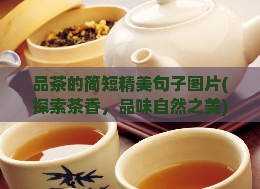 品茶的简短精美句子图片(探索茶香,品味自然之美)