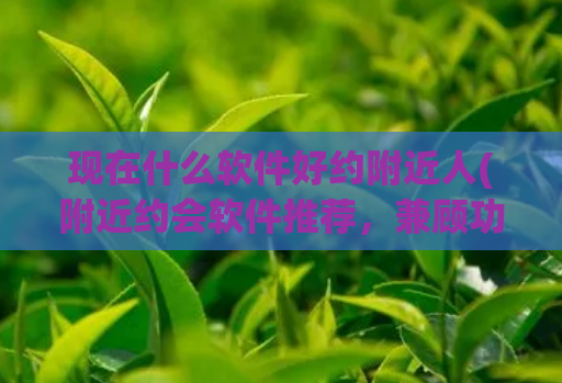 现在什么软件好约附近人(附近约会软件推荐，兼顾功能与好评口碑！)