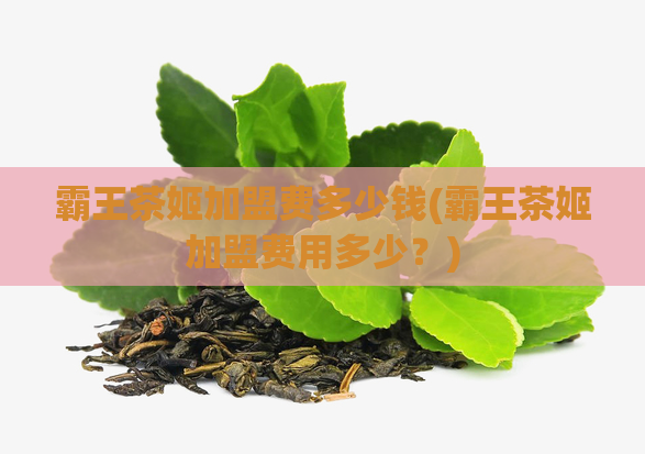 霸王茶姬加盟费多少钱(霸王茶姬加盟费用多少？)