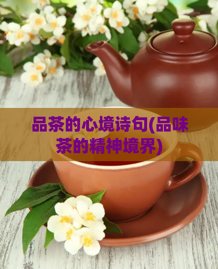 品茶的心境诗句(品味茶的精神境界)