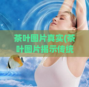 茶叶图片真实(茶叶图片揭示传统制作工艺，展现浓郁质感！)