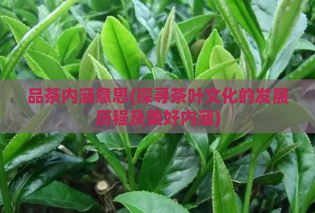 品茶内涵意思(探寻茶叶文化的发展历程及美好内涵)