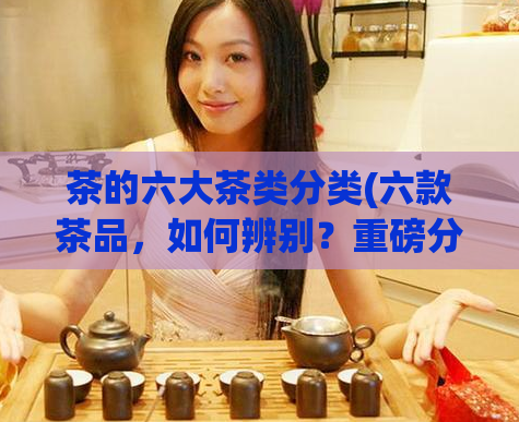 茶的六大茶类分类(六款茶品,如何辨别?重磅分类完整解析!)