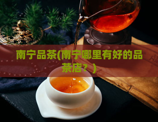 南宁品茶(南宁哪里有好的品茶店？)