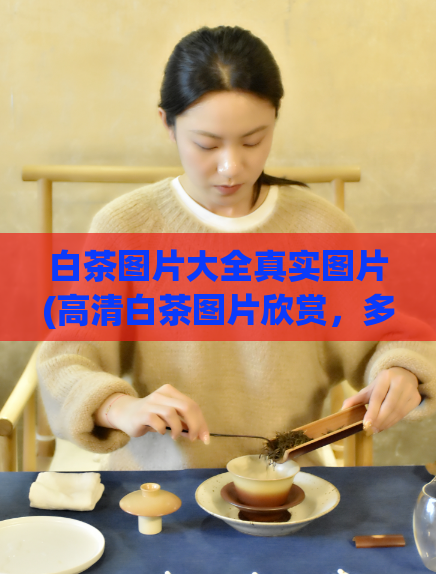 白茶图片大全真实图片(高清白茶图片欣赏，多种口感任你选择)