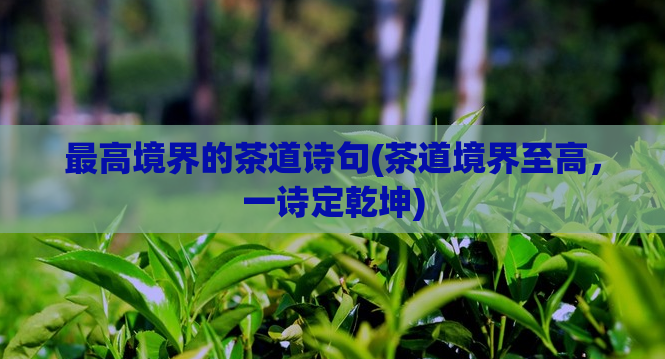 最高境界的茶道诗句(茶道境界至高，一诗定乾坤)