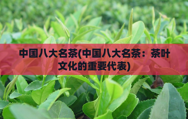 中国八大名茶(中国八大名茶：茶叶文化的重要代表)