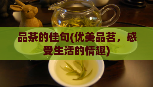 品茶的佳句(优美品茗，感受生活的情趣)