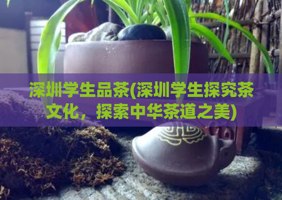 深圳学生品茶(深圳学生探究茶文化，探索中华茶道之美)