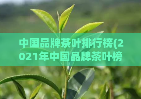 中国品牌茶叶排行榜(2021年中国品牌茶叶榜单发布)