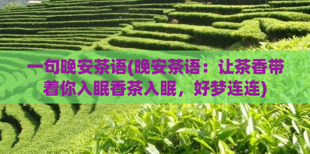 一句晚安茶语(晚安茶语：让茶香带着你入眠香茶入眠，好梦连连)