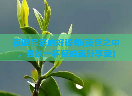 夜晚品茶的好语句(夜色之中，尝饮一杯茶的美好享受)