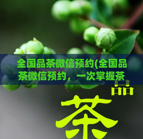 全国品茶微信预约(全国品茶微信预约，一次掌握茶道文化！)
