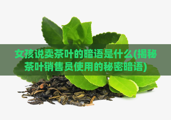 女孩说卖茶叶的暗语是什么(揭秘茶叶销售员使用的秘密暗语)